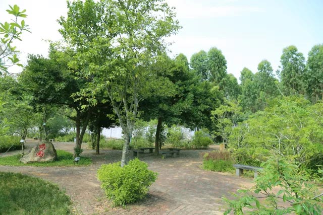 學(xué)校美景