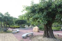 三園景觀(guān)
